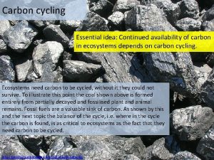 Carbon cycling Essential idea Continued availability of carbon