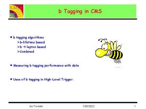 b Tagging in CMS b tagging algorithms blifetime