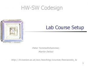 HWSW Codesign Lab Course Setup Peter Tummeltshammer Martin