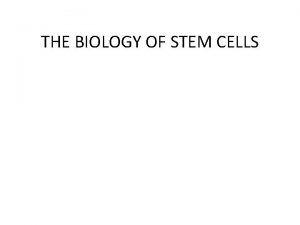 THE BIOLOGY OF STEM CELLS The Biology of