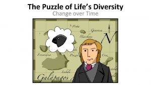 The Puzzle of Lifes Diversity Change over Time