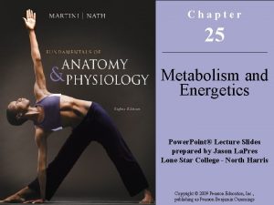 Chapter 25 Metabolism and Energetics Power Point Lecture