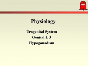 Physiology Urogenital System Genital L 3 Hypogonadism Hypogonadism