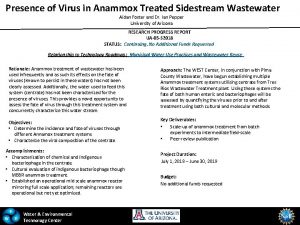 Presence of Virus in Anammox Treated Sidestream Wastewater