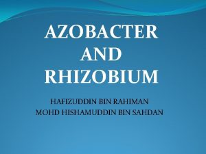 AZOBACTER AND RHIZOBIUM HAFIZUDDIN BIN RAHIMAN MOHD HISHAMUDDIN