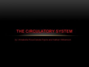 THE CIRCULATORY SYSTEM by Annabella Rosa Dakota Payne