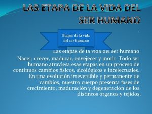 LAS ETAPA DE LA VIDA DEL SER HUMANO