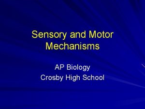 Sensory and Motor Mechanisms AP Biology Crosby High