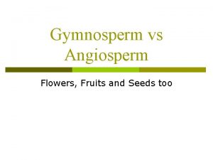 Gymnosperm vs Angiosperm Flowers Fruits and Seeds too