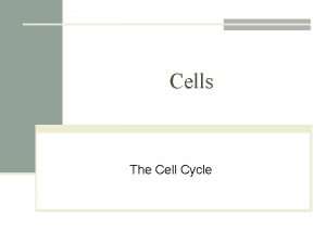 Cells The Cell Cycle Key Concepts n Cell