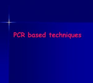 PCR based techniques Bioteknologi STRUKTUR DNA Anwari Adi