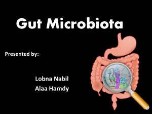 Gut Microbiota Presented by Lobna Nabil Alaa Hamdy