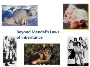 Beyond Mendels Laws of Inheritance 2006 2007 Incomplete