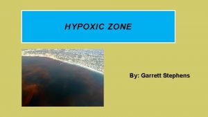 HYPOXIC ZONE By Garrett Stephens WHAT IS THE