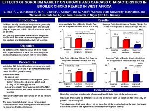 EFFECTS OF SORGHUM VARIETY ON GROWTH AND CARCASS