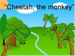 Cheetah the monkey Today Cheetah the monkey and