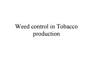Weed control in Tobacco production Weed control in