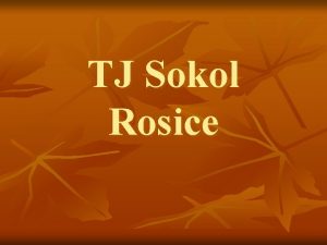 TJ Sokol Rosice Sportovn oddly TJ Sokol Florbal