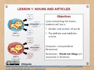 LESSON 1 NOUNS AND ARTICLES Objectives Upon completing