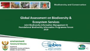 Global Assessment on Biodiversity Ecosystem Services Joint Biodiversity