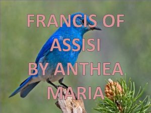 FRANCIS OF ASSISI BY ANTHEA MARIA St Francis