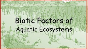 Biotic Factors of Aquatic Ecosystems Aquatic Animals Representatives