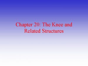 Chapter 20 The Knee and Related Structures Complex