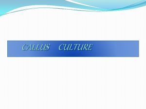 CALLUS CULTURE CONTENTS History Callus culture Physical appearance