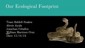 Our Ecological Footprint Team RiddellSnakes Alexis Ayala Jonathan