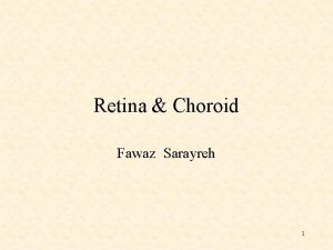Retina Choroid Fawaz Sarayreh 1 2 Vitreous Inner