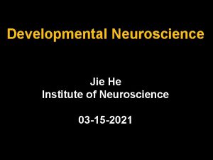 Developmental Neuroscience Jie He Institute of Neuroscience 03