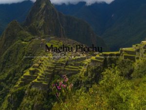 Machu Picchu By Emily Marshall Who The Incas