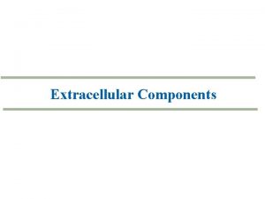 Extracellular Components Extracellular Matrix of Animal Cells Functions