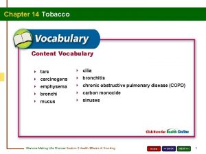 Chapter 14 Tobacco Content Vocabulary tars cilia carcinogens