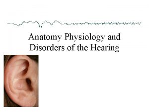 Anatomy Physiology and Disorders of the Hearing Major