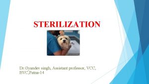 STERILIZATION Dr Gyandev singh Assistant professor VCC BVC