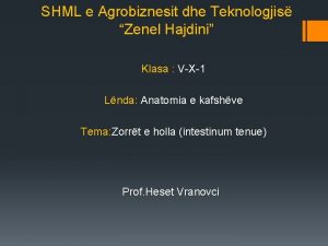 SHML e Agrobiznesit dhe Teknologjis Zenel Hajdini Klasa