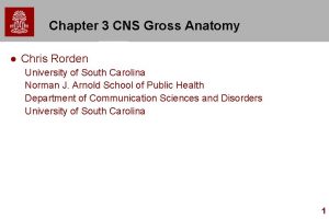Chapter 3 CNS Gross Anatomy l Chris Rorden