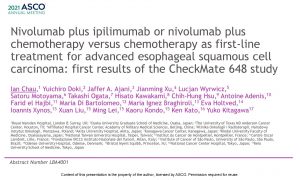 Nivolumab plus ipilimumab or nivolumab plus chemotherapy versus