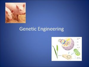Genetic Engineering Bell Ringer What is genetic modification