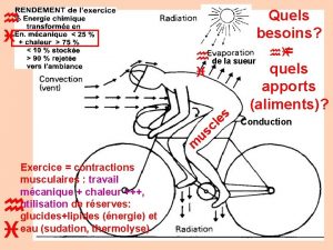 Quels besoins h de la sueur hi quels