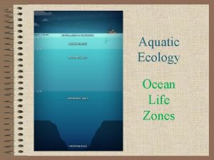 Aquatic Ecology Ocean Life Zones Objectives for Aquatic