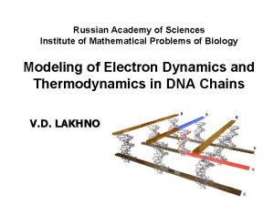 Russian Academy of Sciences Institute of Mathematical Problems