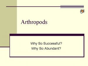 Arthropods Why So Successful Why So Abundant Why