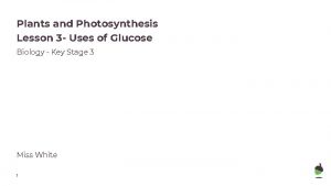 Plants and Photosynthesis Lesson 3 Uses of Glucose