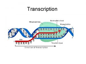 Transcription Transcription the process where the DNA code