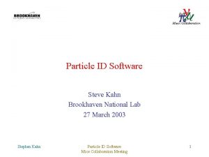 Particle ID Software Steve Kahn Brookhaven National Lab