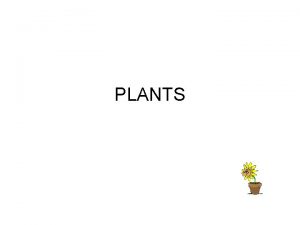 PLANTS Plants Grouped by characteristics Nonvascular Simple most