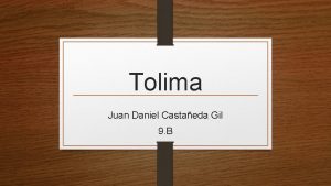 Tolima Juan Daniel Castaeda Gil 9 B Quienes