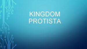 KINGDOM PROTISTA What are protist Large diverse group